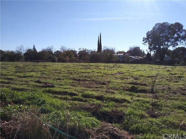 0 Paula - Photo 1