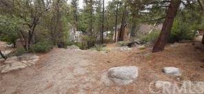 0 Cedar Dell - Photo 1