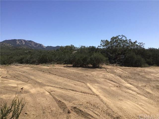 1011 Roan - Photo 1