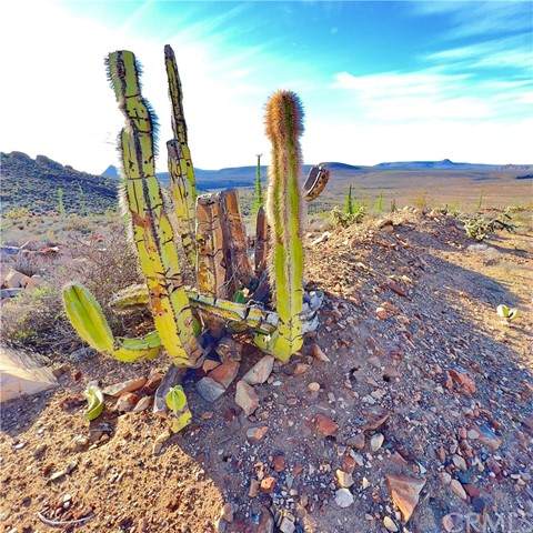 0 Ejitario Del Nucleo Agrario "Revolucion", Ensenada - Photo 1