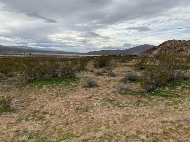 0 Rabbit Springs - Photo 1