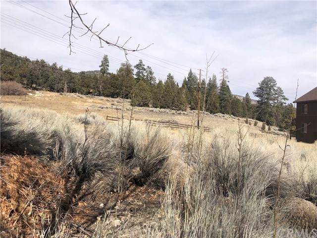 0 Bear Loop - Photo 1