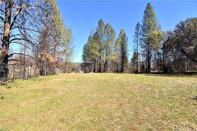 990 Bald Rock - Photo 1