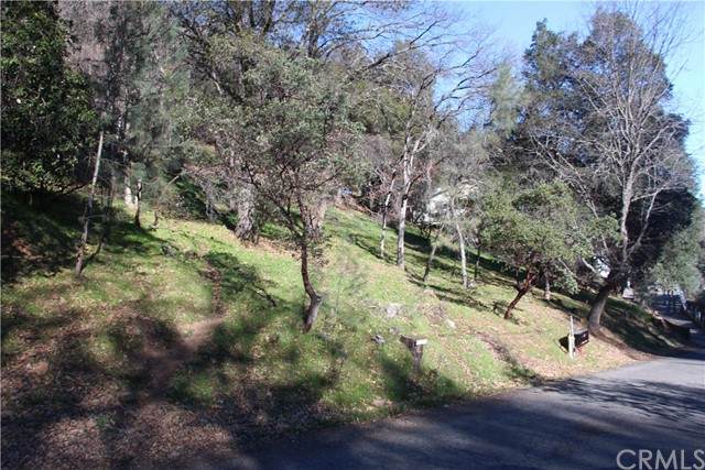 6115 Sunrise - Photo 1