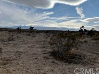 0 La Mesa Rd. - Photo 1