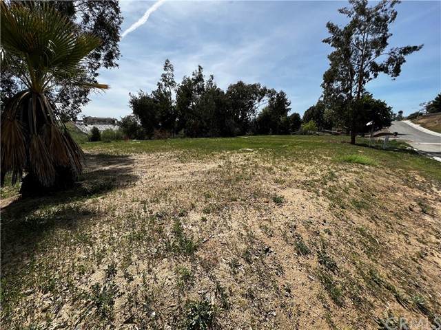 40240 Juniper - Photo 1