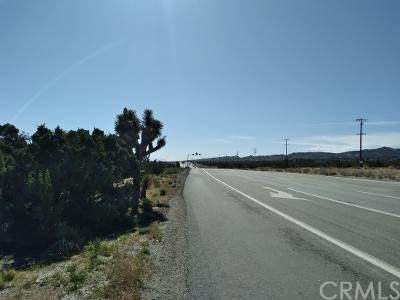0 Phelan - Photo 1