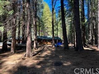 35650 Douglas Fir Court - Photo 1