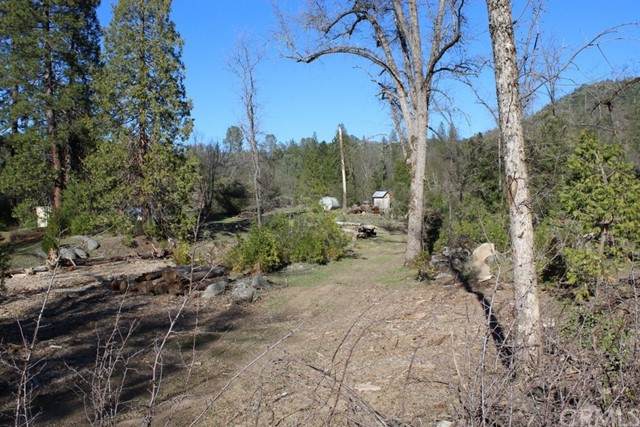4894 Buckingham Mountain - Photo 1