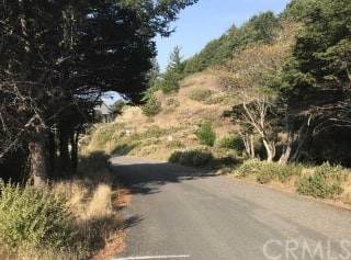 226 Dolphin - Photo 1