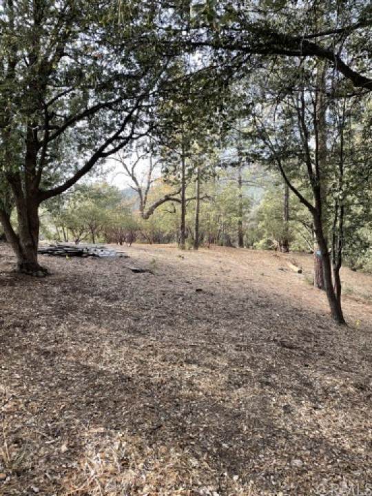 27799 Saunders Meadow - Photo 1