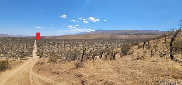 0 Lagartijo - Photo 1