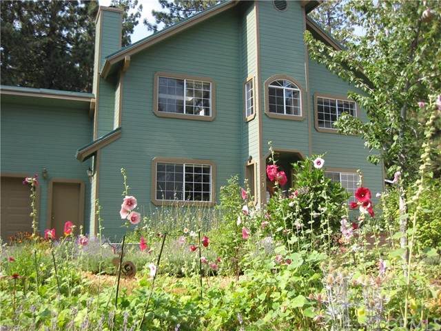 2317 Sutter Trail - Photo 1