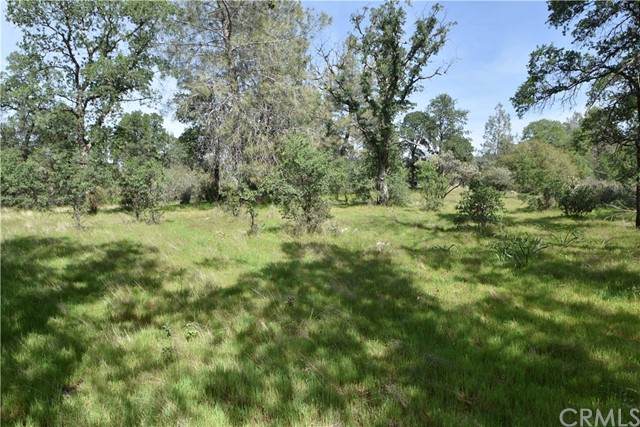 0 Verner Oaks - Photo 1