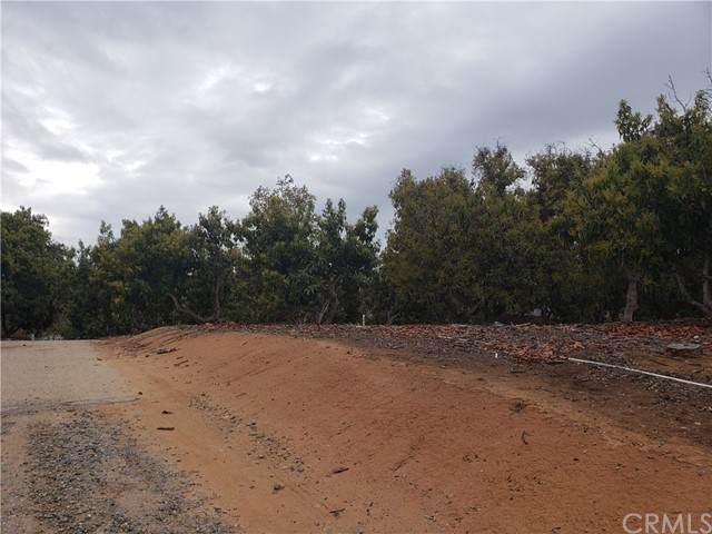 23723 Serreno - Photo 1