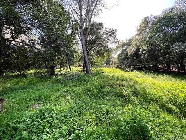 3356 Southlake - Photo 1