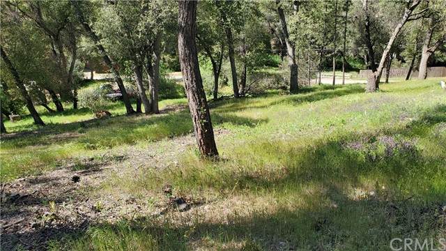 5560 Hale - Photo 1