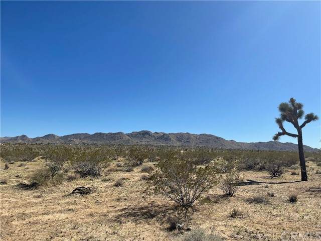 0 Twentynine Palms Highway - Photo 1
