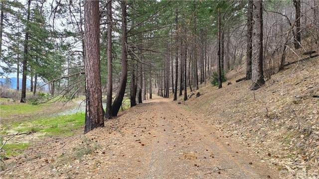 11309 Deer Valley - Photo 1