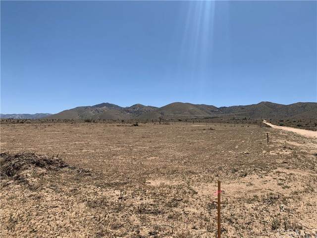 9335 Luna Mountain - Photo 1