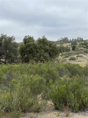 42 Sable - Photo 1