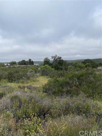 44 Sable - Photo 1