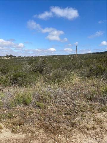 48 Sable - Photo 1