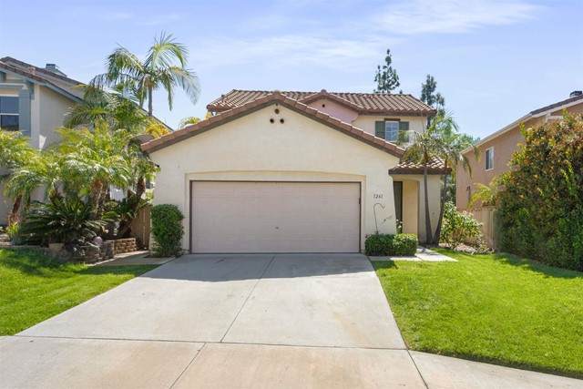 1261 Avenida Fragata - Photo 1