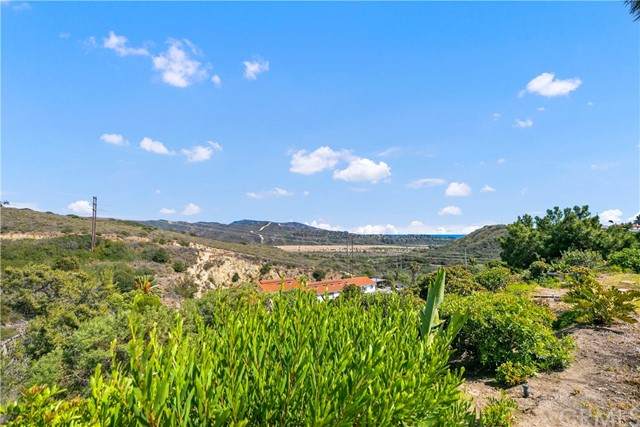 316 Avenida Adobe - Photo 1