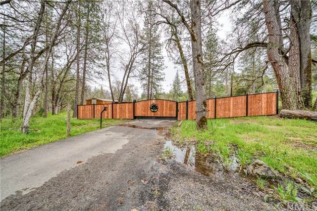 32821 White Alder Road - Photo 1