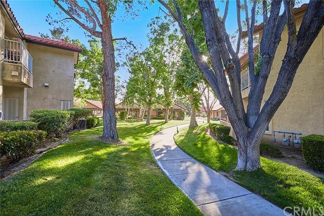 19203 Palo Verde Drive - Photo 1