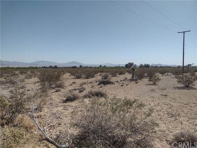 0 Custer (Near) - Photo 1
