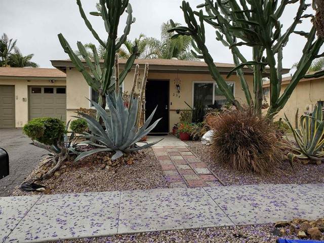 254 Avenida Marguarita - Photo 1