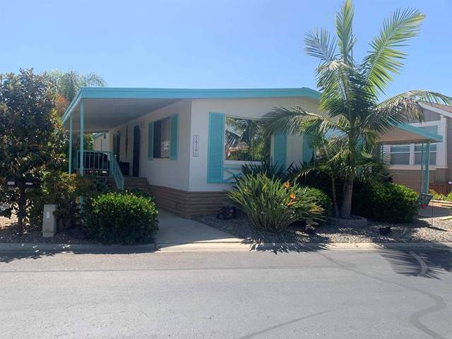 3434 Don Ortega Dr - Photo 1