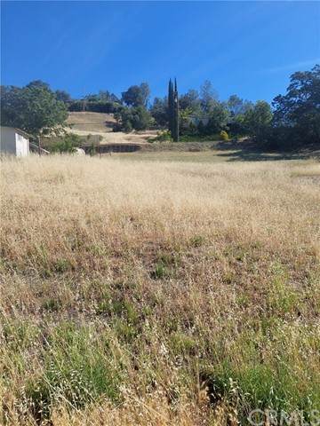 3441 Yuba - Photo 1