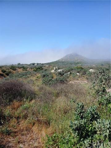 0 Lot 6 Scorpion Canyon Rd - Photo 1