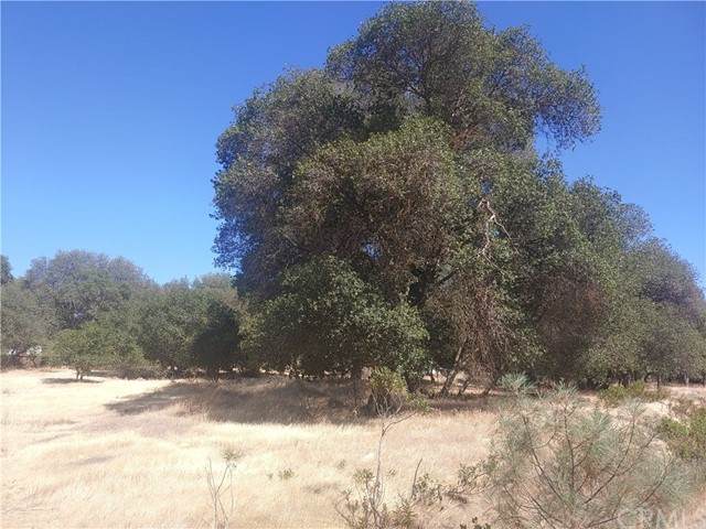 3150 Country Club - Photo 1