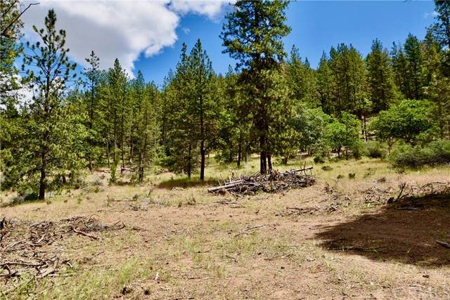 0 Schulmayer Gulch - Photo 1