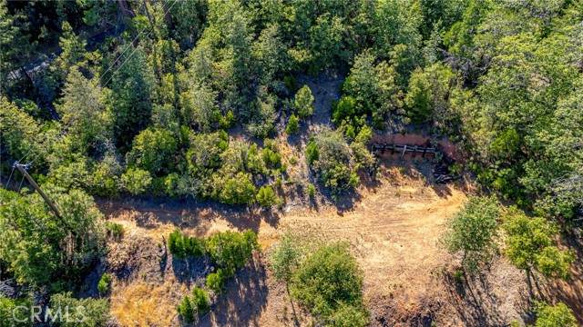 0 Finegold Creek - Photo 1