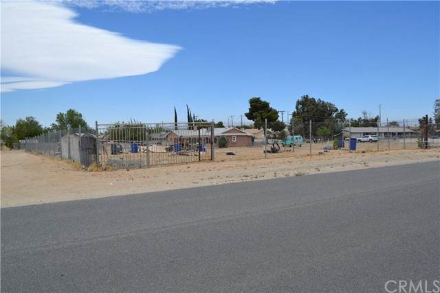 0 Tokay - Photo 1