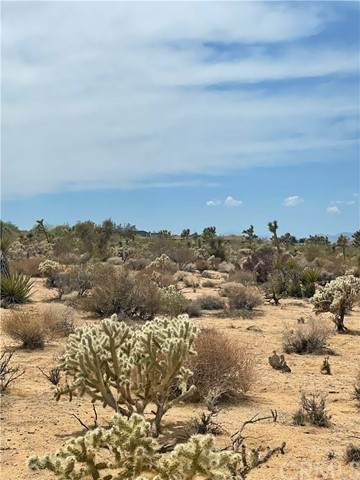 11 Saddleback - Photo 1