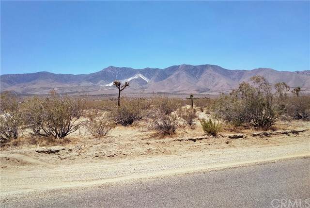 0 Sutter - Photo 1