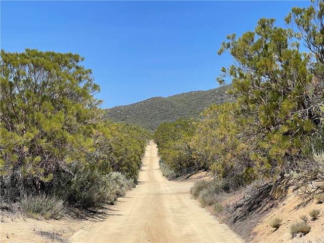 34 Springs Trail - Photo 1