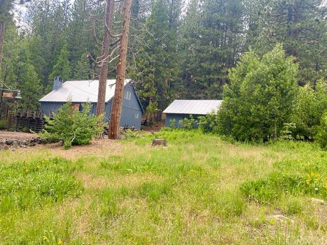 38206 Hampton Avenue - Photo 1
