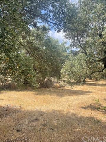 0 Miners Ranch Rd - Photo 1