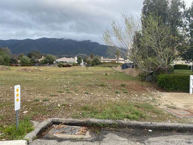 10124 Wilson - Photo 1