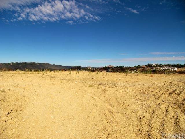 30951 Jedediah Smith - Photo 1