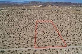 1 Shoshone Valley - Photo 1