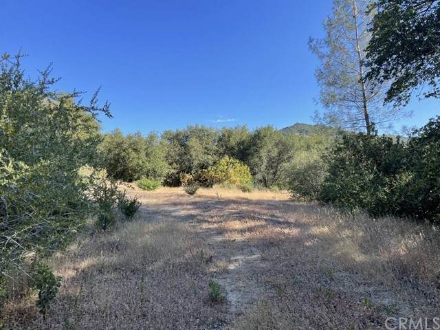 0 Road 620 - Photo 1