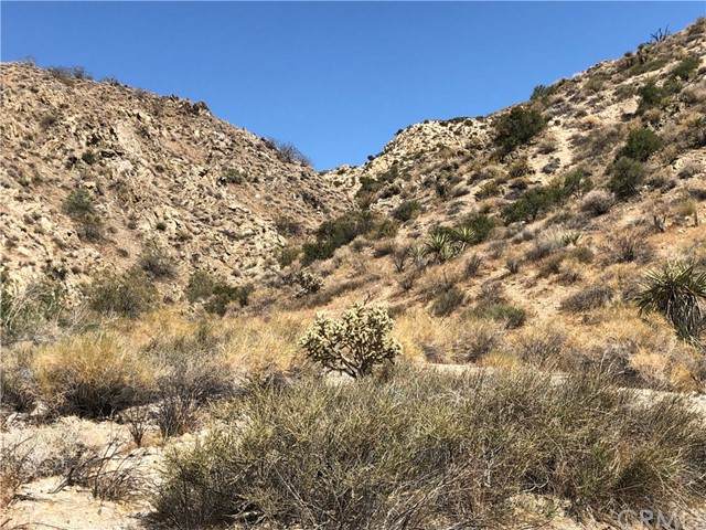 0 Near Flora - Photo 1